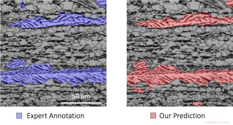 Deep Learning for Microstructure Imaging: Data-Efficient Methods