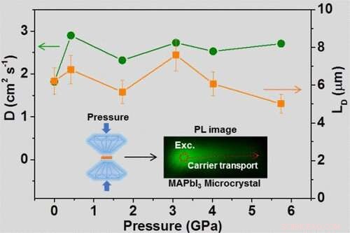 Enhanced Carrier Transport in Hybrid Perovskites Under High Pressure