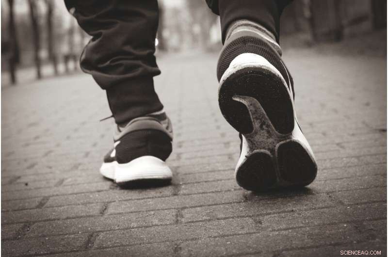 Accidental Discovery in Topology Optimization Could Revolutionize Structural Design Methods