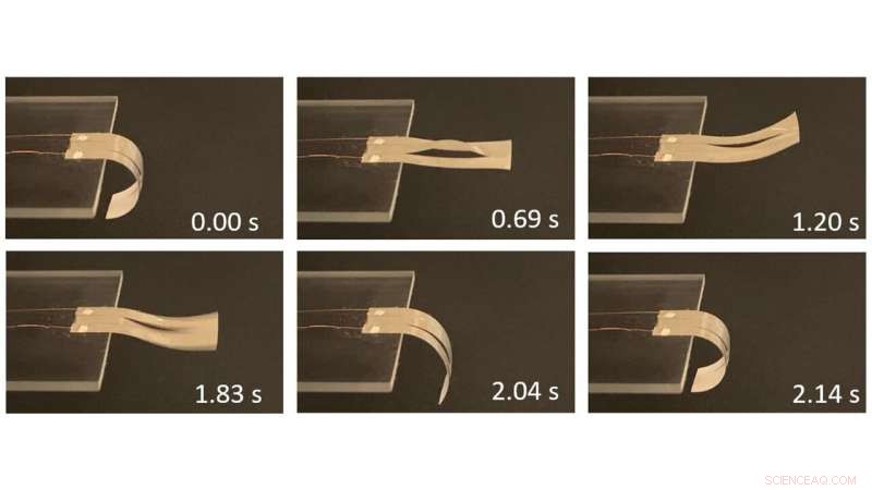 Breakthrough Design Enables Fast Thermal Actuation in Soft Robotics
