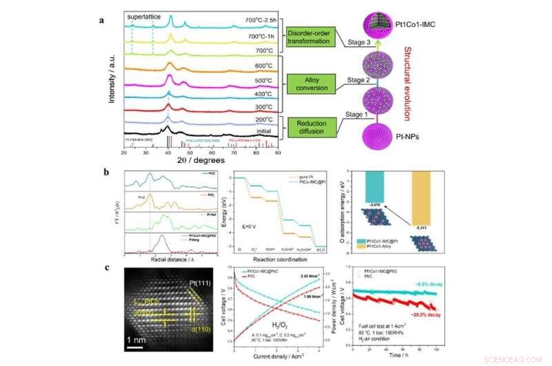 Cost-Effective PtCo Intermetallic Electrocatalyst for Proton-Exchange Membrane Fuel Cells