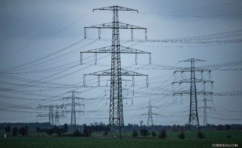 Wildlife Concerns Challenge Germany s Renewable Energy Grid Expansion