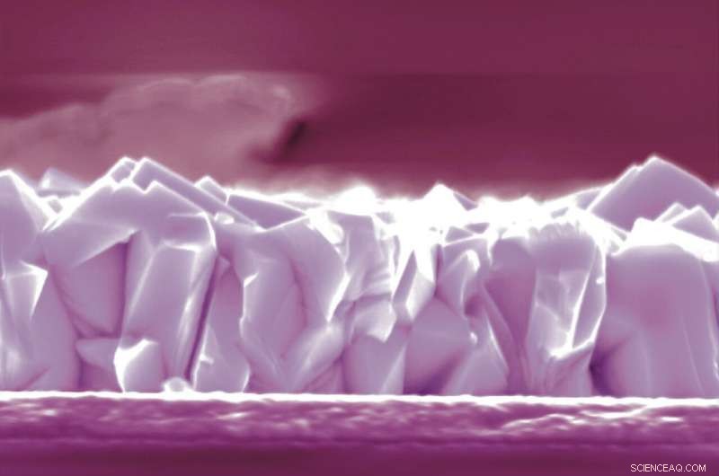 New Study Identifies Critical Degradation Pathways in Cu2O Photoelectrodes for Efficient CO2 Reduction
