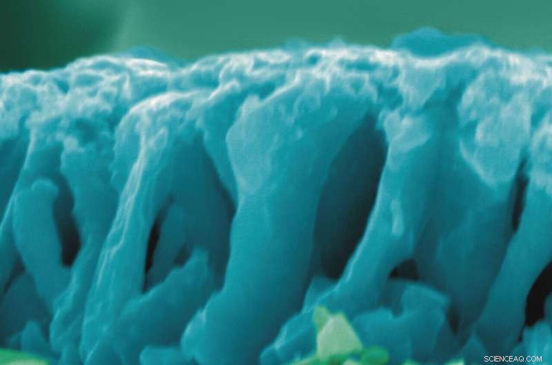 New Study Identifies Critical Degradation Pathways in Cu2O Photoelectrodes for Efficient CO2 Reduction