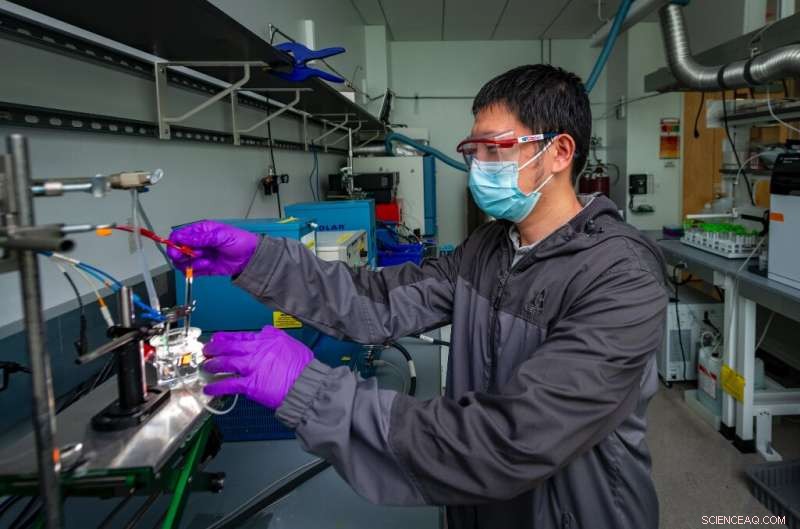 New Study Identifies Critical Degradation Pathways in Cu2O Photoelectrodes for Efficient CO2 Reduction