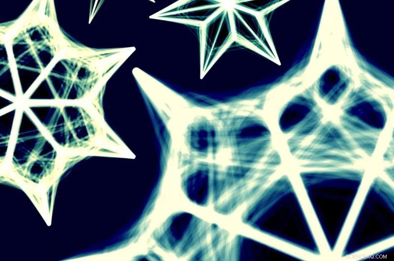 Research Reveals Universal Algorithm for Animal Spatial Decision-Making