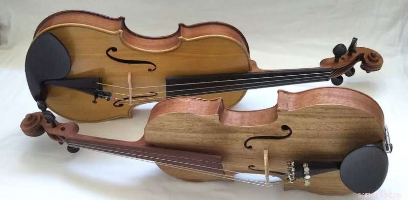 Research Study Evaluates Indigenous African Woods for Violin Tonewood Suitability