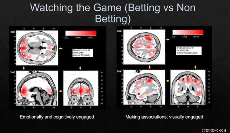 QUT Study: Sports Betting Apps and Marketing Drive Gambling Harm