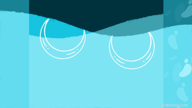 Self-Sustaining Liquid Robots Achieve Continuous Operation Through Food-Derived Energy