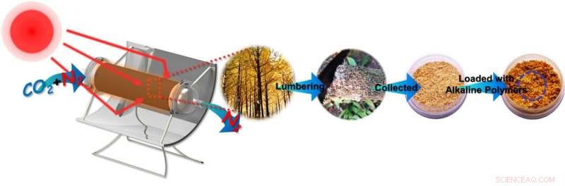 Reversible Carbon Capture Breakthrough: Harnessing Sunlight with Modified Sawdust