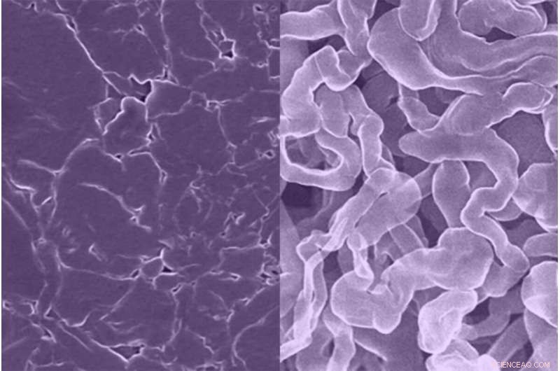 Breakthrough: Dendrite-Resistant Sodium Anode Provides Safe, Stable Lithium-Ion Alternative