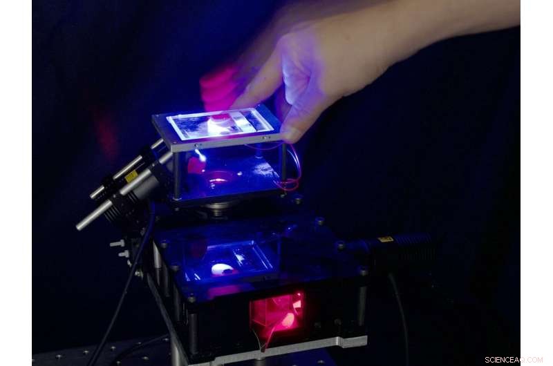 Robotic Touch Breakthrough: How Fingertip Strain Enhances Grip Control