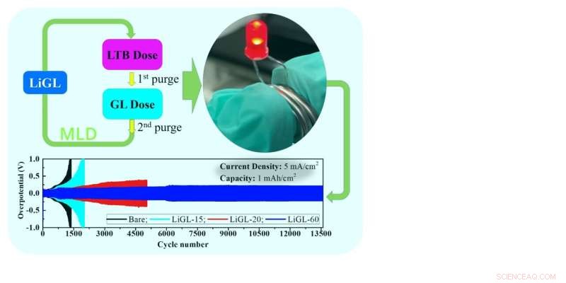 University of Arkansas Develops Advanced Li-Conducting Polymer for Superior Lithium Metal Anodes