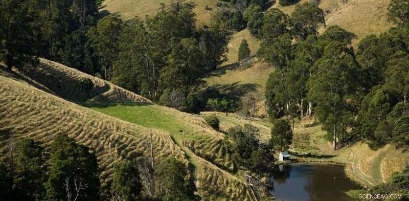 Latrobe Valley s Massive Geothermal Aquifer: A Source of Cheap, Clean Renewable Energy
