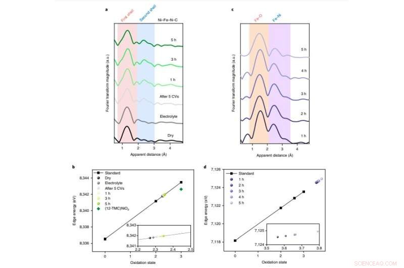 Revolutionizing OER Electrocatalysis: Double-Atom Catalyst Platform with Operando XAS Insights