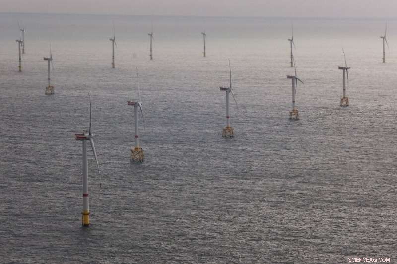 IEA Report: Renewable Growth Accelerating, But Must Speed Up to Meet Net Zero Targets