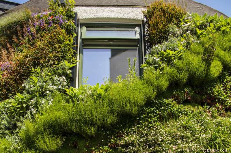 University of Plymouth Study: Living Walls Reduce Building Heat Loss by Over 30%