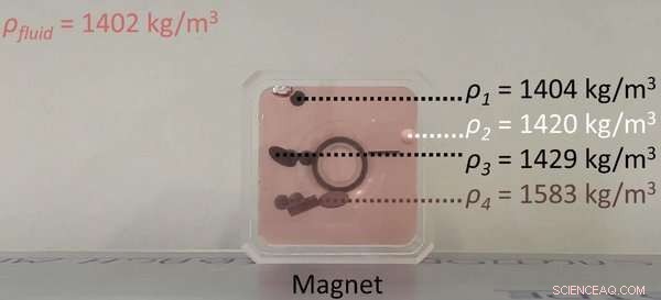 Innovative Magnetic Density Separation Technology for Enhanced Plastic Waste Recycling