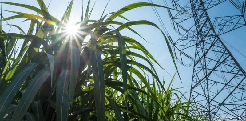 Australia s First Bioenergy Roadmap Reveals Groundbreaking Insights on Organic Waste Energy