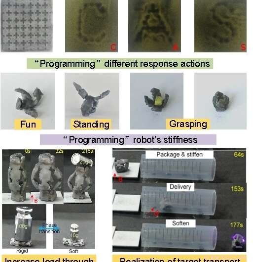Programmable Soft Magnetic Pixel Robot for Adaptive Shape-Shifting