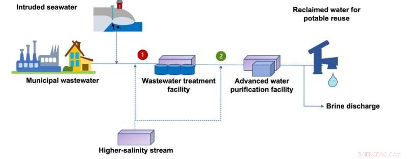 Optimizing Water Recovery: Coordinating Wastewater and High Salinity Streams for Sustainable Potable Reuse