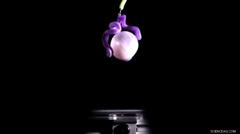 Bubble Casting: Princeton s Innovative Method for Soft Robotics Fabrication