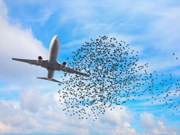 AVIX Autonomic Laser System: Reduces Bird Damage by 70% for Safer, Profitable Harvests