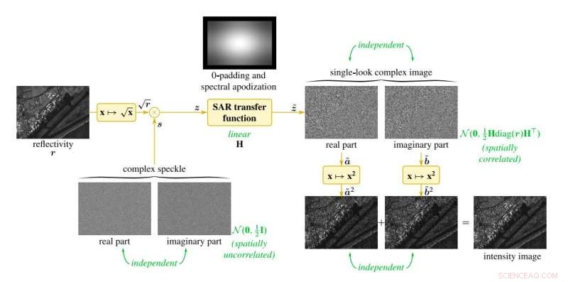 MERLIN: Self-Supervised Deep Learning Framework for SAR Image Despeckling