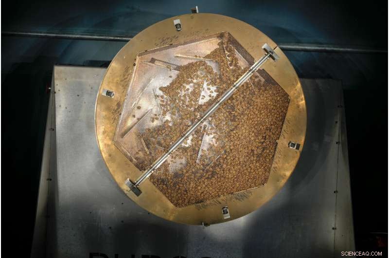 World s First Solar-Powered Coffee Roaster: Sustainable Innovation in Rome