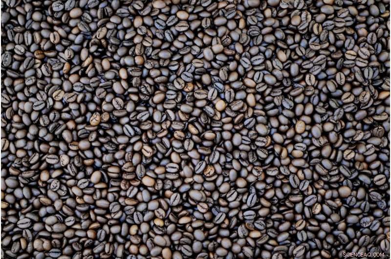 World s First Solar-Powered Coffee Roaster: Sustainable Innovation in Rome