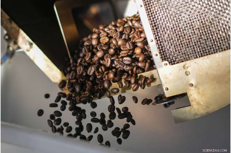 World s First Solar-Powered Coffee Roaster: Sustainable Innovation in Rome
