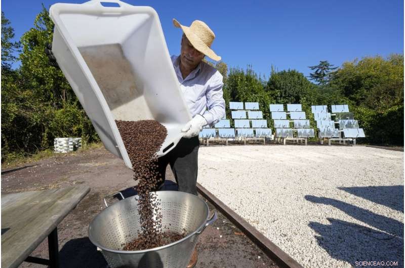 World s First Solar-Powered Coffee Roaster: Sustainable Innovation in Rome