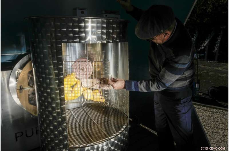 World s First Solar-Powered Coffee Roaster: Sustainable Innovation in Rome