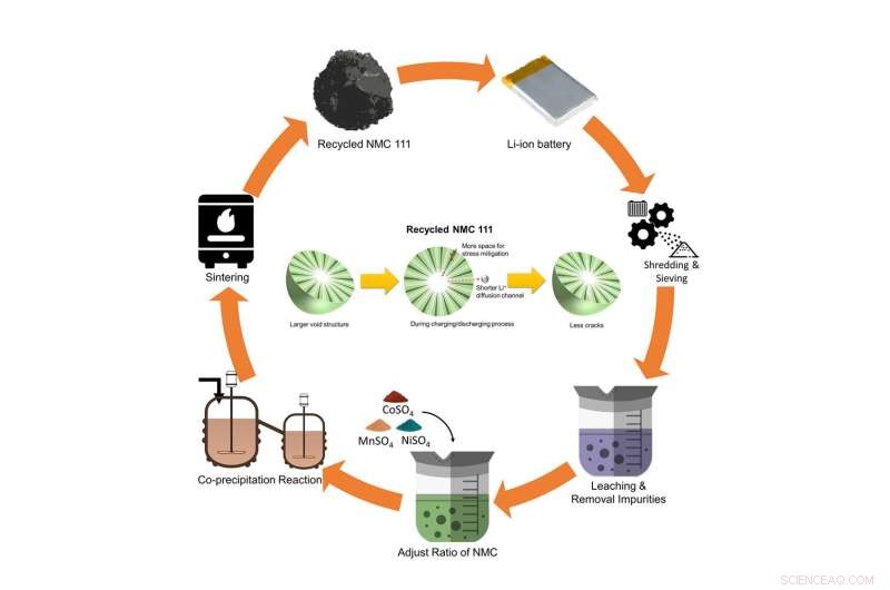 Breakthrough Recycling Method: Reclaiming Cathode Materials from Lithium Batteries for Sustainable Production