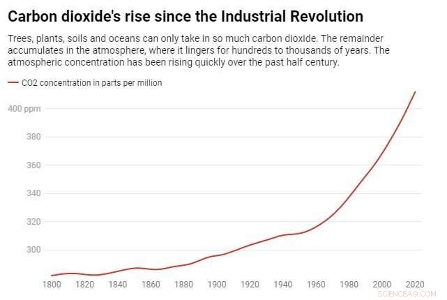 Forests Can t Sustain All Net-Zero Carbon Offsetting Demands