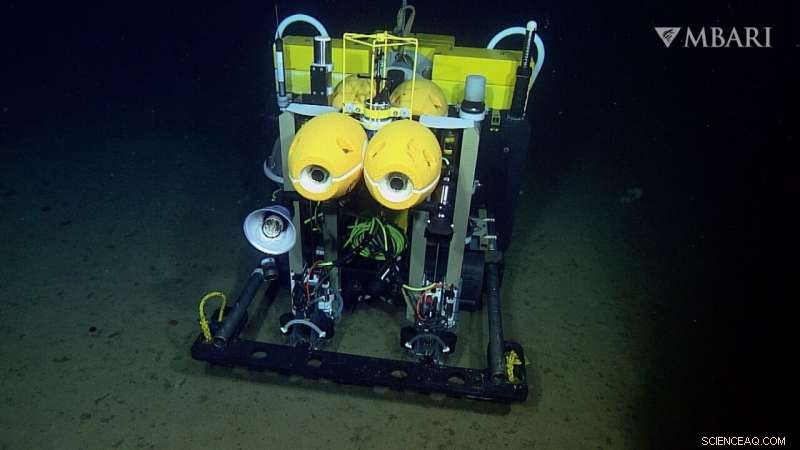 Autonomous Deep-Sea Rover Advances Long-Term Carbon Cycle and Climate Change Monitoring