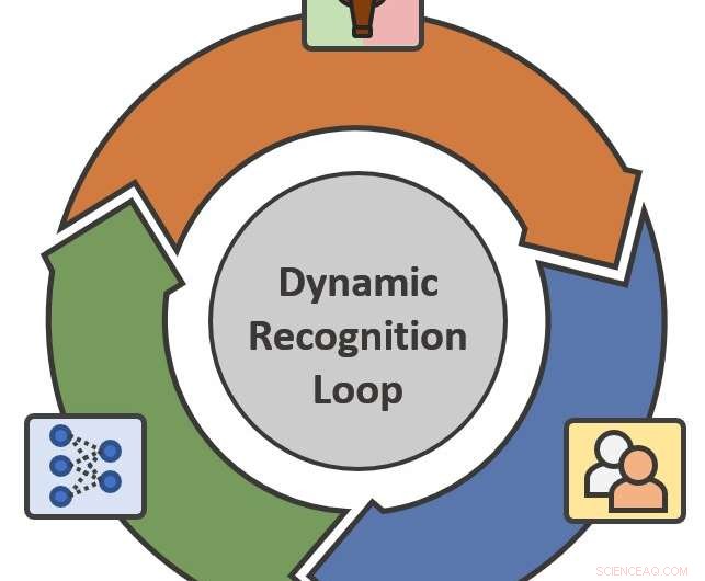 Human-AI Collaborative Framework for Accurate Wildlife Identification