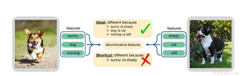 MIT s Novel Technique Prevents AI Models from Shortcut Learning