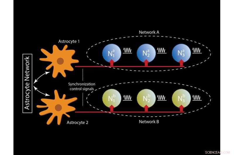Astrocyte-Inspired AI: Pathway to Self-Repairing, Energy-Efficient Systems