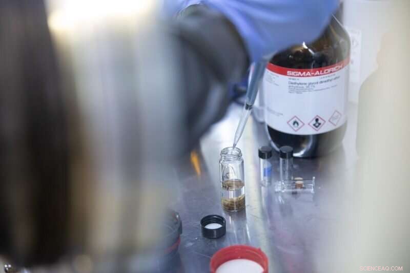 Sustainable Breakthrough: Converting Food Waste into High-Capacity Batteries