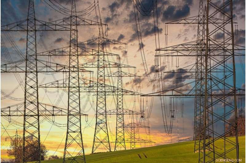 Optimizing Demand Flexibility for Resilient Electricity Distribution Networks