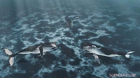 Data-Driven Animations: Integrating Biology, Art, and Computation in Marine Mammal Research