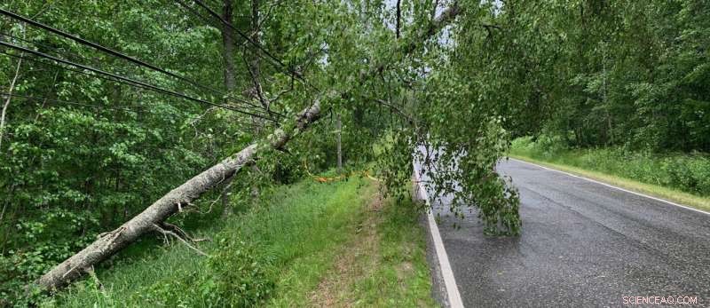 Machine Learning Accurately Predicts Storm-Caused Power Outages and Train Delays, Research Shows