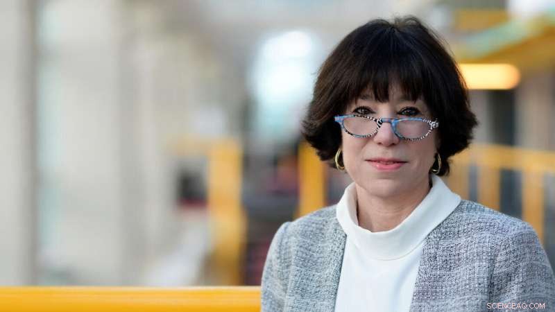 Artificial Intelligence Ethics: Expert Insights and Critical Perspectives