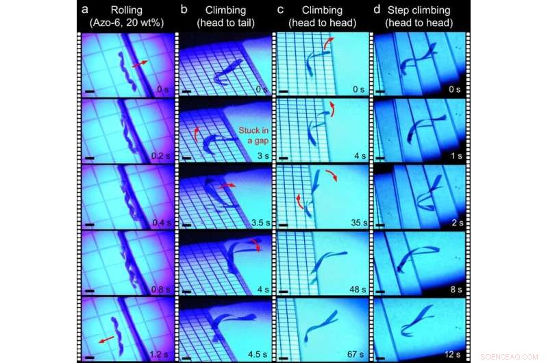 Light-Driven Torsional Soft Robot Masters Rapid Stair Climbing