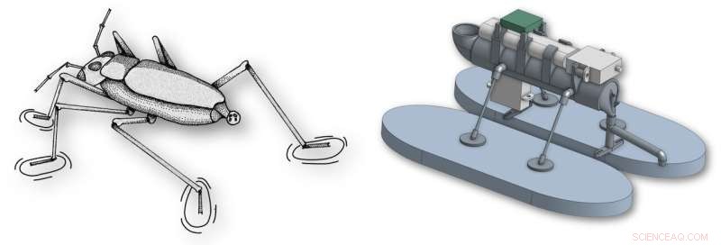 Biomimetic Marangoni Robots Achieve Agile Water Surface Locomotion