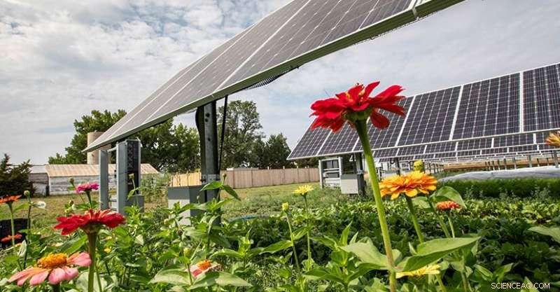Sharing the Sun Report: Comprehensive Analysis of Community Solar Growth and Emerging Trends