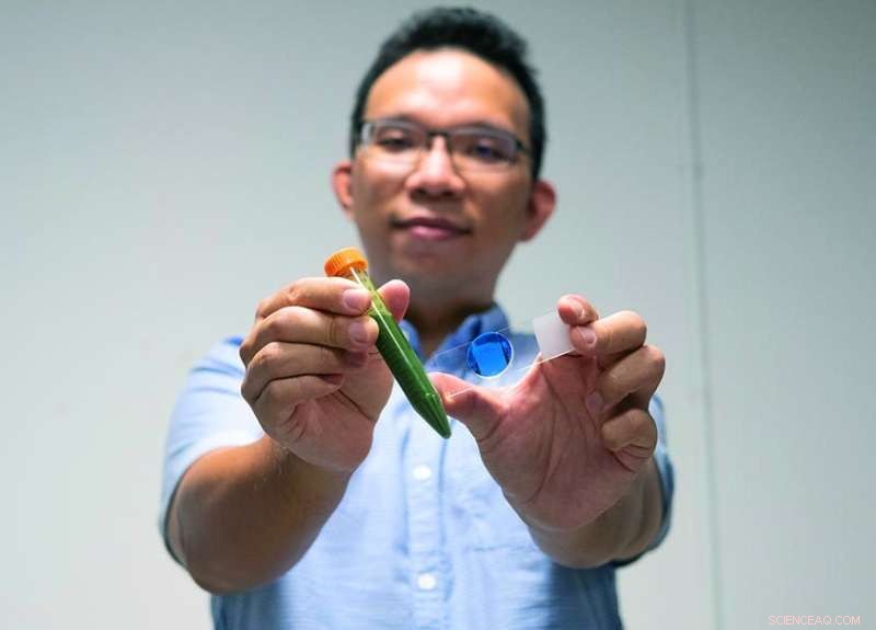 NTU Breakthrough: Enhancing Energy Generation from Microalgae via Protein Encapsulation