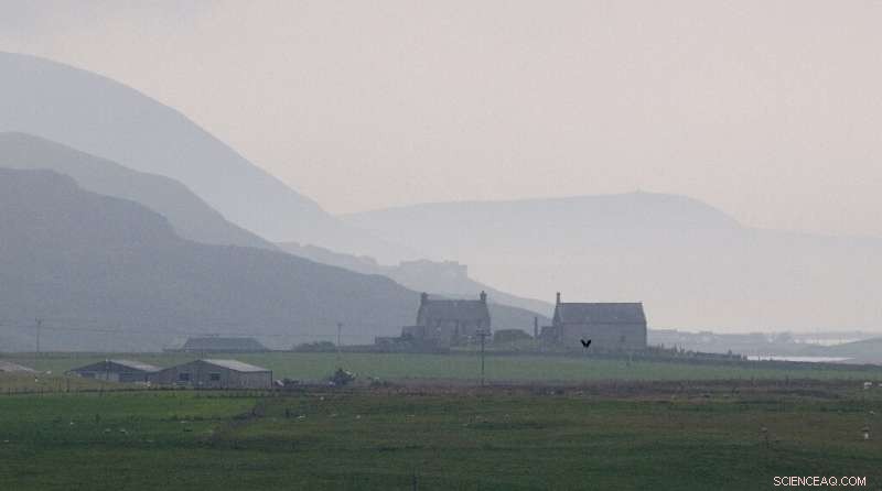Shetland and Orkney: Scotland s Islands Pioneering the Shift from Oil to Renewable Energy