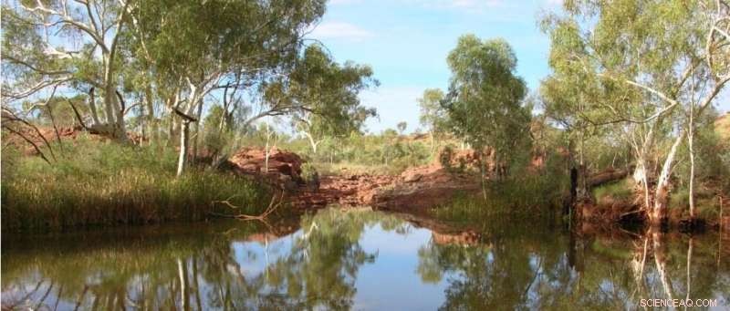 Australia s Groundwater Expert Shortage Reaches Critical Levels
